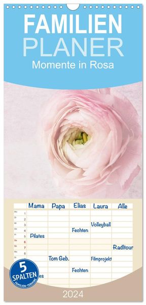Produktbild: Familienplaner 2026 - Momente in Rosa mit 5 Spalten (Wandkalender, 21 x 45 cm) CALVENDO