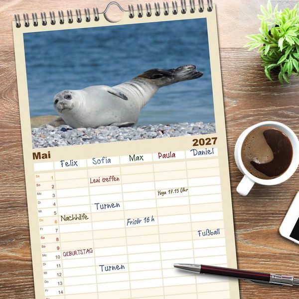 Produktbild: Familienplaner 2027 - Das Leben der Robben mit 5 Spalten (Wandkalender, 21 x 45 cm) CALVENDO