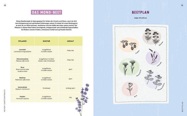 Produktbild: Gartenmomente: Magie im Garten