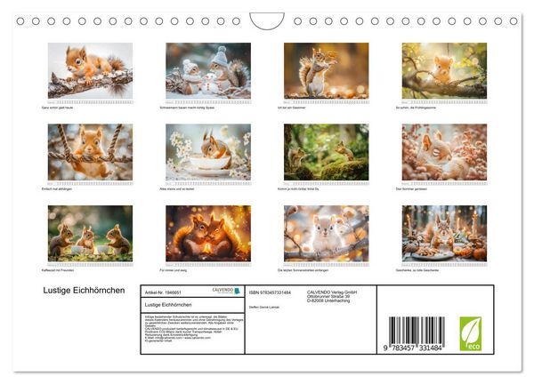 Produktbild: Lustige Eichh&ouml;rnchen (Wandkalender 2026 DIN A4 quer), CALVENDO Monatskalender