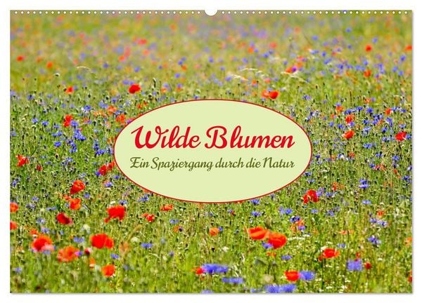 Produktbild: Wilde Blumen - ein Spaziergang durch die Natur (Wandkalender 2026 DIN A2 quer), CALVENDO Monatskalender