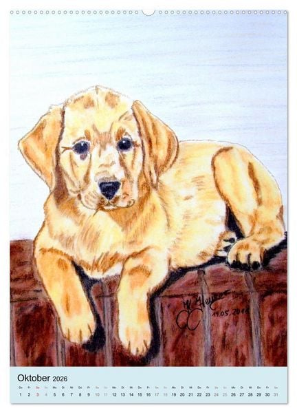 Produktbild: Hunde - Bezaubernde Portraitzeichnungen (Wandkalender 2026 DIN A2 hoch), CALVENDO Monatskalender