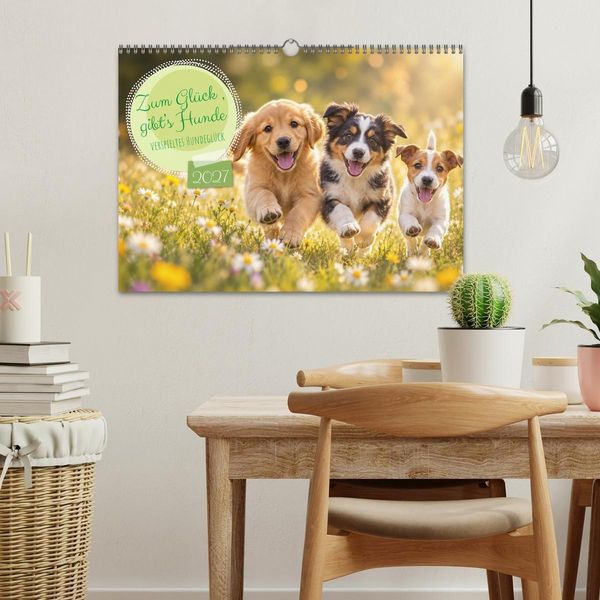 Produktbild: Zum Gl&uuml;ck gibt&rsquo;s Hunde (Wandkalender 2027 DIN A3 quer), CALVENDO Monatskalender