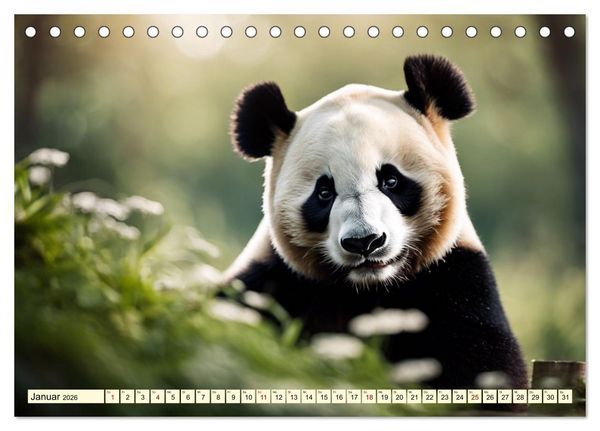 Produktbild: Gro&szlig;er Pandab&auml;r (Tischkalender 2026 DIN A5 quer), CALVENDO Monatskalender