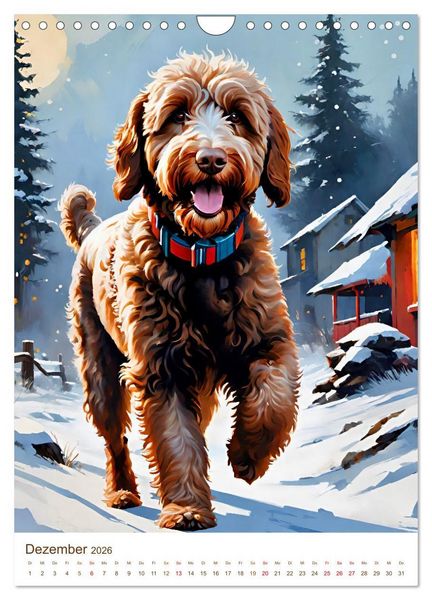 Produktbild: Der Labradoodle (Wandkalender 2026 DIN A4 hoch), CALVENDO Monatskalender