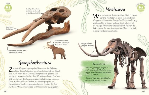 Produktbild: Wundervolle Welt - Kleine Sch&auml;tze. Fossilien