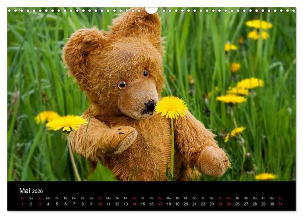 Produktbild: Teddy Basse, Fortsetzung... (Wandkalender 2026 DIN A3 quer), CALVENDO Monatskalender