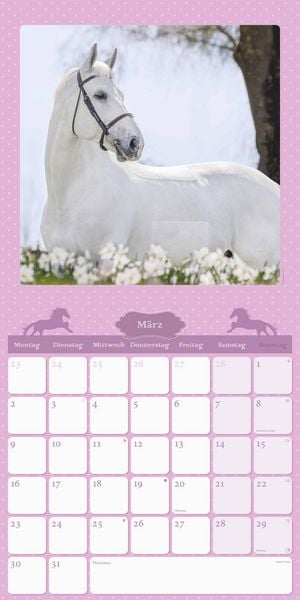Mein Pferdekalender 2026 - Broschürenkalender 30x30 cm (30x60 geöffnet) - Kalender mit Platz für Notizen - Bildkalender - Wandplaner - Wandkalender