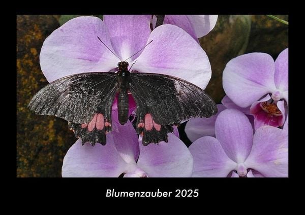 Produktbild: Blumenzauber 2025 Fotokalender DIN A3