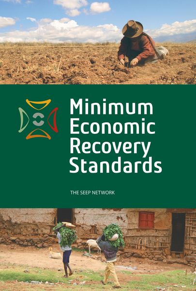Produktbild: Minimum Economic Recovery Standards
