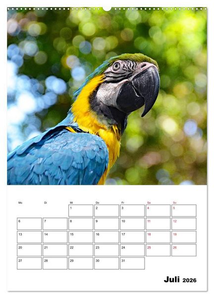 Produktbild: Karibik pur - mit Charme und Zauber (Wandkalender 2026 DIN A2 hoch), CALVENDO Monatskalender