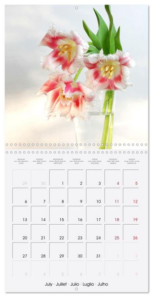Produktbild: Tulipes &eacute;l&eacute;gantes (Calendrier mural carr&eacute; 2026 30x30 cm) Calendrier double avec une page pour vos prises de notes