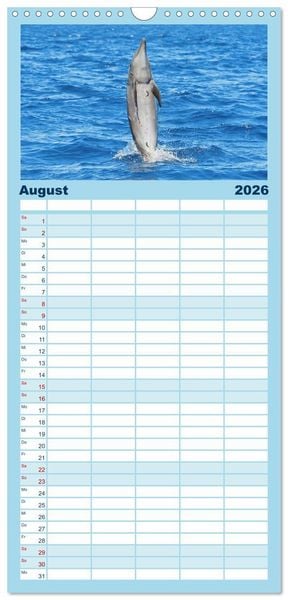 Produktbild: Familienplaner 2026 - Delfine: Elegante Wellenreiter mit 5 Spalten (Wandkalender, 21 x 45 cm) CALVENDO