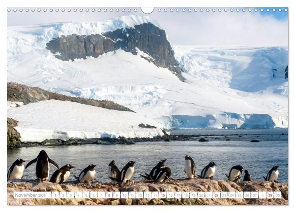 Produktbild: Antarktis - Das Reich der Pinguine (Wandkalender 2026 DIN A3 quer), CALVENDO Monatskalender