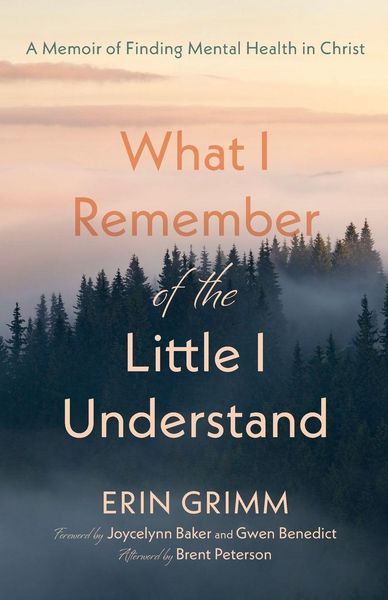 Produktbild: What I Remember of the Little I Understand