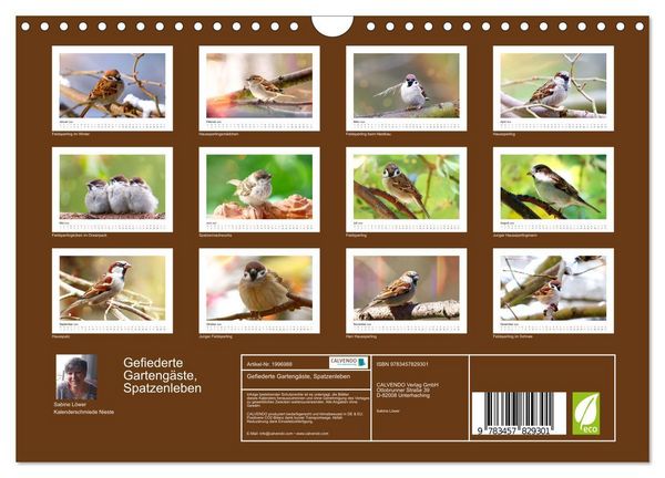 Produktbild: Gefiederte Garteng&auml;ste, Spatzenleben (Wandkalender 2026 DIN A4 quer), CALVENDO Monatskalender