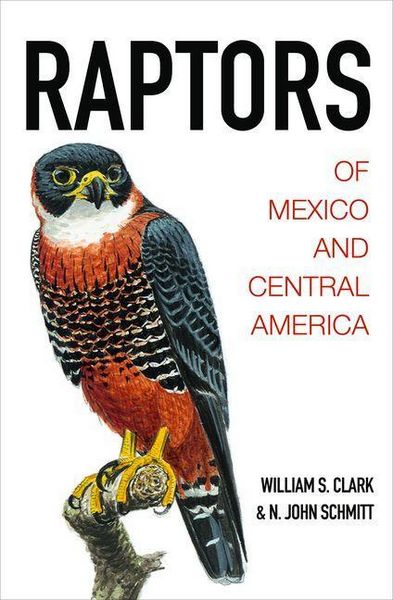 Produktbild: Raptors of Mexico and Central America
