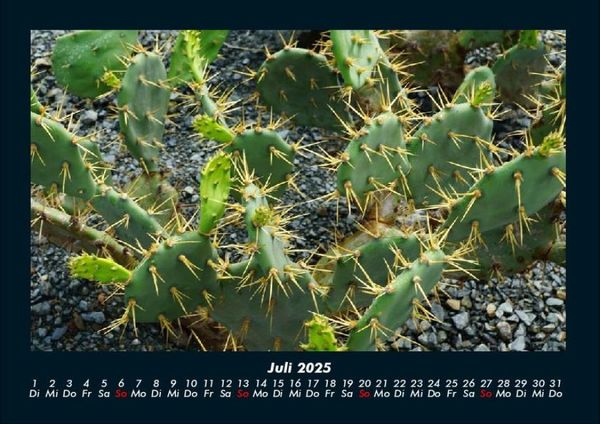 Produktbild: Naturlandschaften 2025 Fotokalender DIN A4