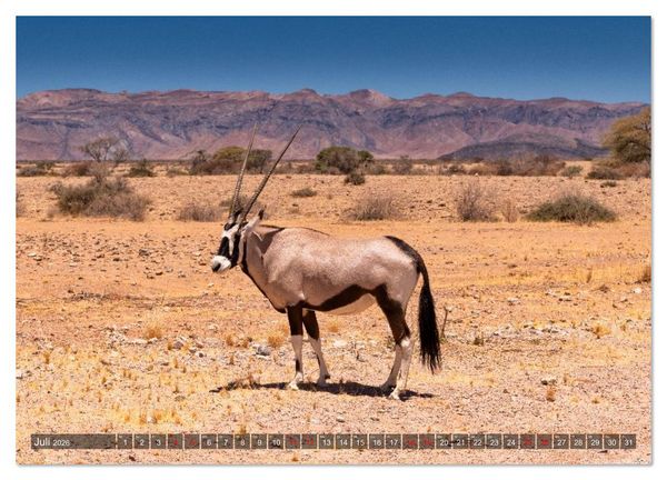 Produktbild: Namibia und Botswana - Entdeckungen in der Weite Afrikas (hochwertiger Premium Wandkalender 2026 DIN A2 quer), Kunstdruck in Hochglanz