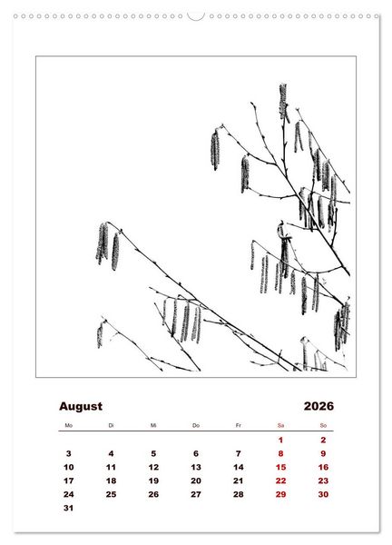 Produktbild: LignoGrafica - Muster und Strukturen der B&auml;ume (Wandkalender 2026 DIN A2 hoch), CALVENDO Monatskalender