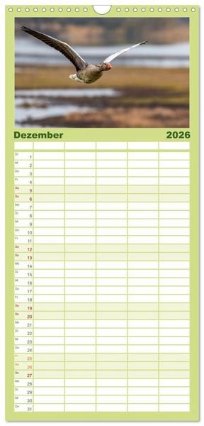 Produktbild: Familienplaner 2026 - Graug&auml;nse in heimischer Umgebung mit 5 Spalten (Wandkalender, 21 x 45 cm) CALVENDO