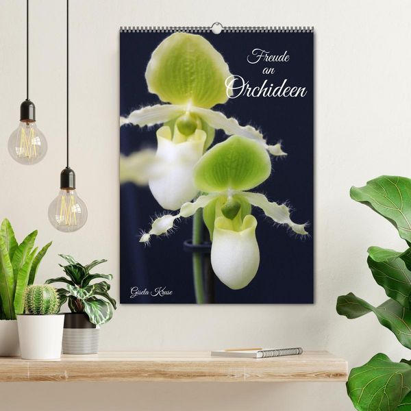 Produktbild: Freude an Orchideen (Wandkalender 2026 DIN A2 hoch), CALVENDO Monatskalender