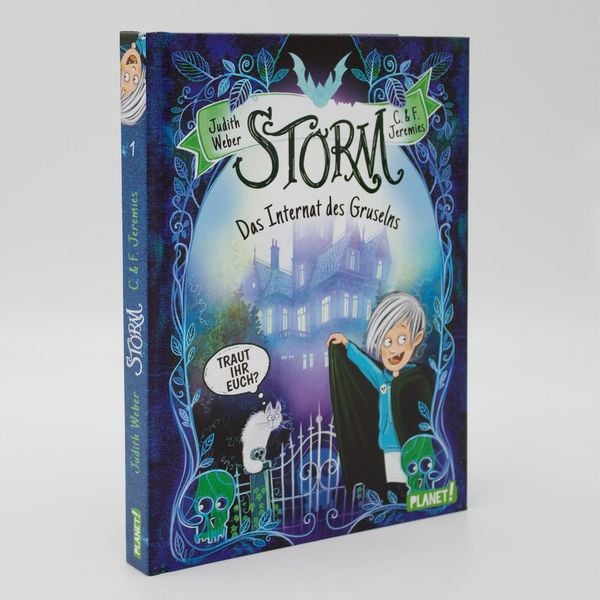 Produktbild: Storm 1: Das Internat des Gruselns
