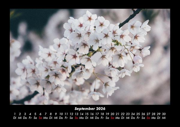 Produktbild: Blumenkalender 2026 Fotokalender DIN A3