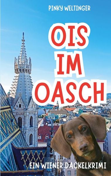 Produktbild: Ois im Oasch
