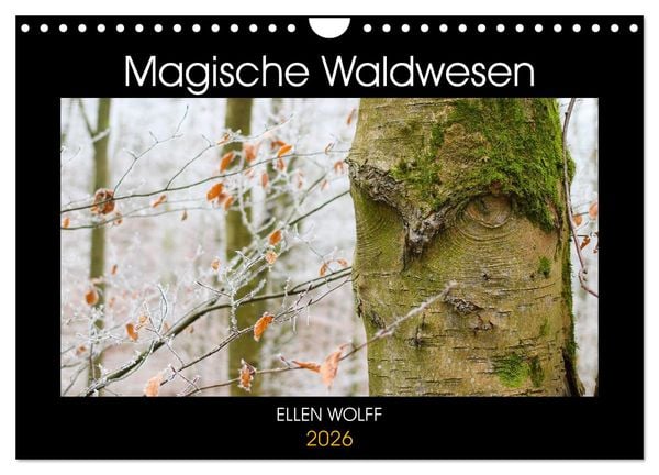 Produktbild: Magische Waldwesen (Wandkalender 2026 DIN A4 quer), CALVENDO Monatskalender