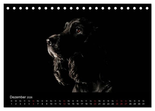 Produktbild: Dogs (Tischkalender 2026 DIN A5 quer), CALVENDO Monatskalender