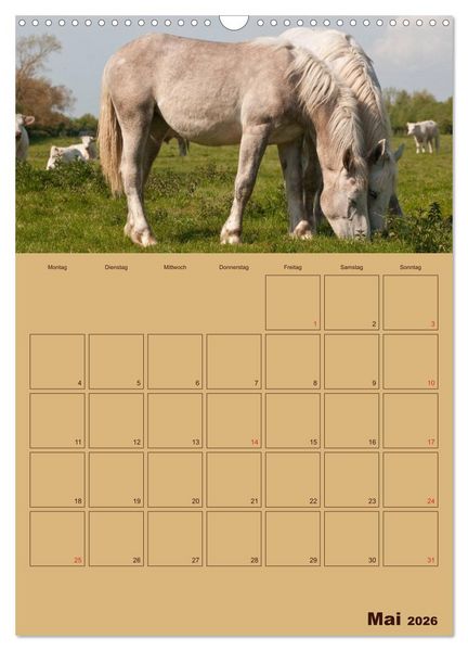 Produktbild: Pferde Gute Freunde (Wandkalender 2026 DIN A3 hoch), CALVENDO Monatskalender