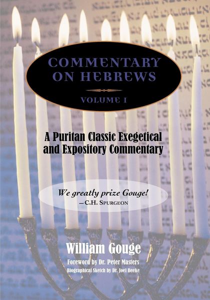Produktbild: Commentary on Hebrews