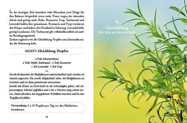 Produktbild: Das gro&szlig;e kleine Buch: Vergessene Hausmittel