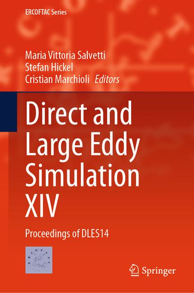Produktbild: Direct and Large Eddy Simulation XIV