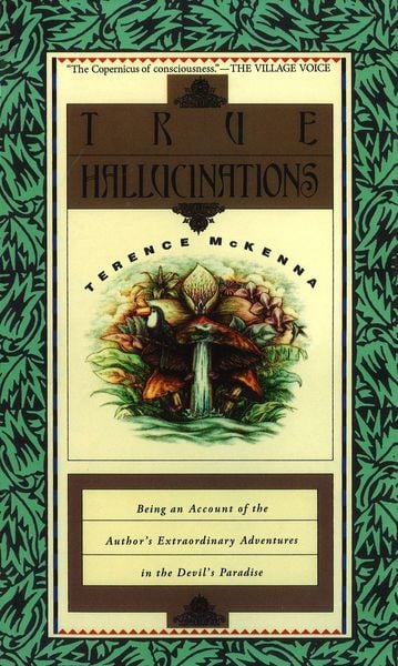 Produktbild: True Hallucinations
