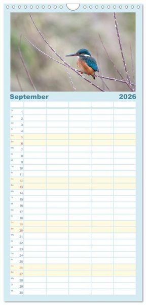 Produktbild: Familienplaner 2026 - Eisvogel im Portr&auml;t mit 5 Spalten (Wandkalender, 21 x 45 cm) CALVENDO