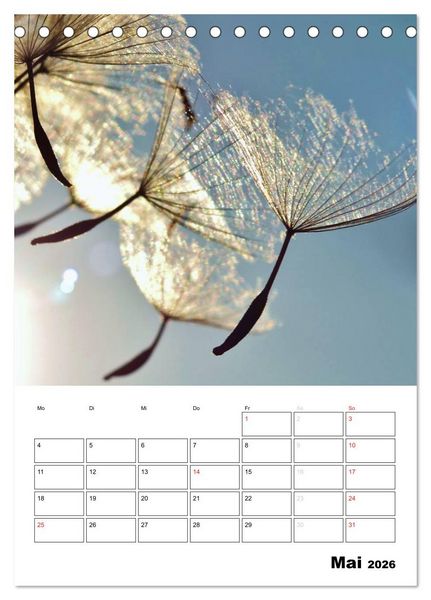 Produktbild: Pusteblumentraum - Dreams of Dandelion (Tischkalender 2026 DIN A5 hoch), CALVENDO Monatskalender