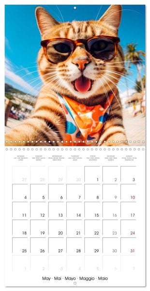 Produktbild: Jolly Selfies (Wall Calendar 2026 12 &times; 12 Inch) CALVENDO 12 Month Wall Calendar