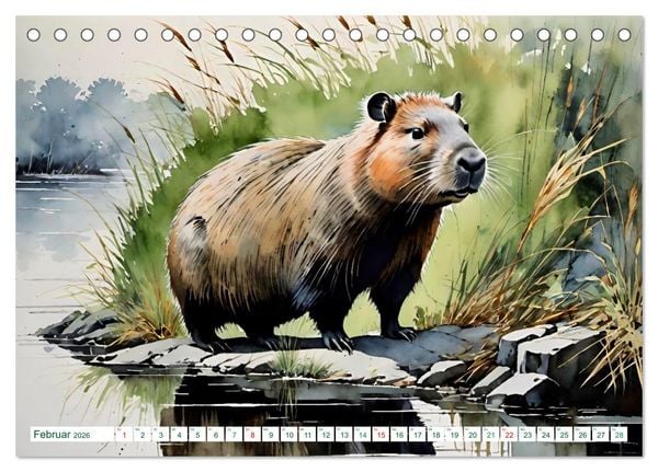 Produktbild: Das Capybara (Tischkalender 2026 DIN A5 quer), CALVENDO Monatskalender
