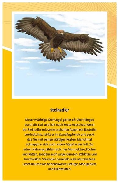 Produktbild: 120 Duelle Gef&auml;hrliche Tiere