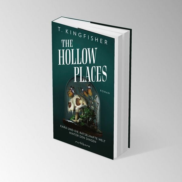 Produktbild: The Hollow Places