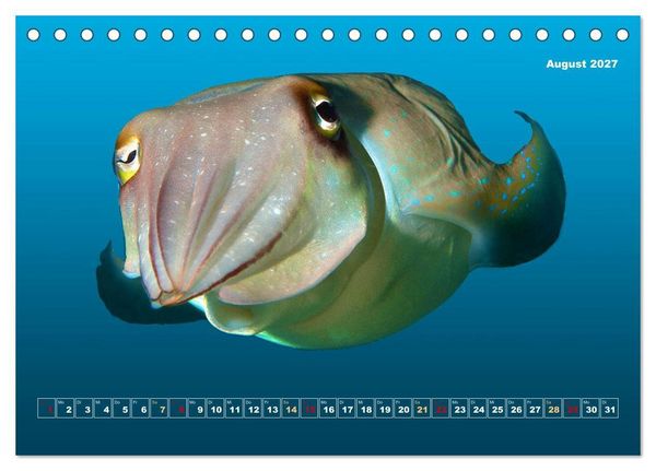 Produktbild: Unterwasser-Galerie (Tischkalender 2027 DIN A5 quer), CALVENDO Monatskalender