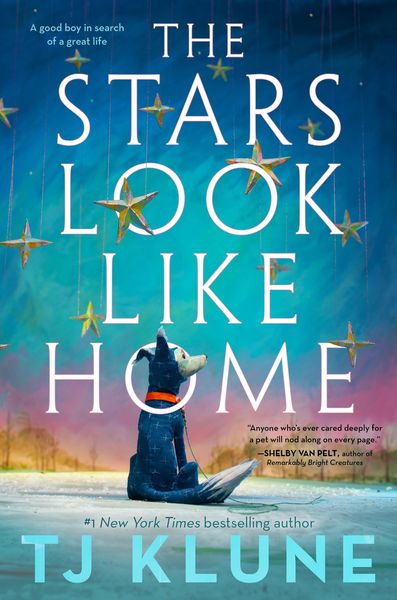 Produktbild: The Stars Look Like Home