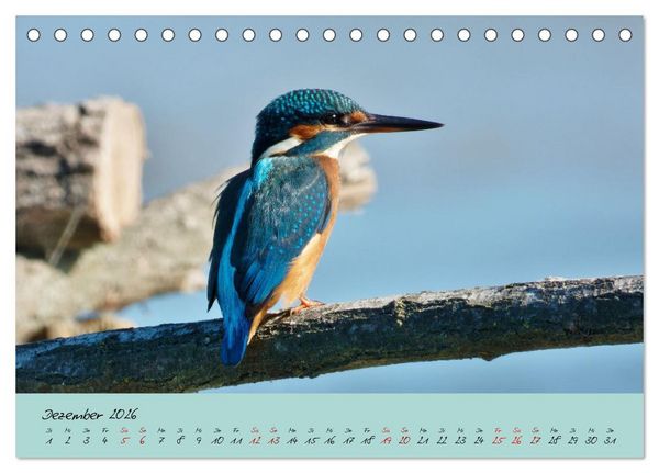 Produktbild: Wilde Toskana - von Ren&eacute; Schaack (Tischkalender 2026 DIN A5 quer), CALVENDO Monatskalender