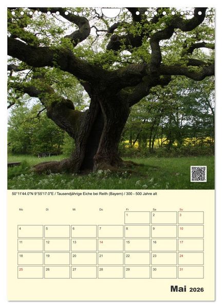 Produktbild: Uralt - Mit QR-Code und GPS zu alten B&auml;umen (Wandkalender 2026 DIN A4 hoch), CALVENDO Monatskalender