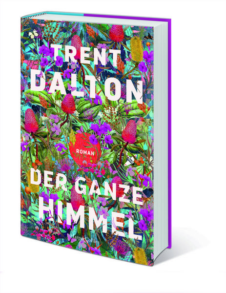 Produktbild: Der ganze Himmel