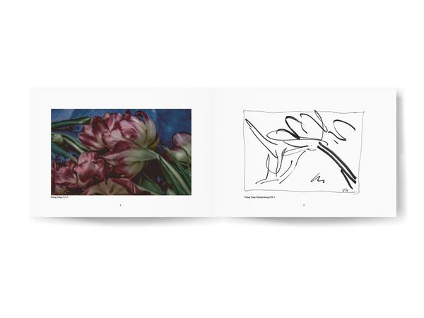 Produktbild: Fading Tulips