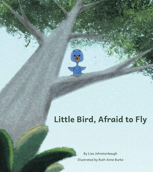 Produktbild: Little Bird, Afraid to Fly