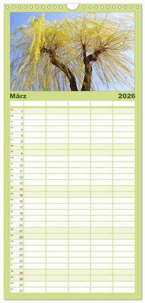 Produktbild: Familienplaner 2026 - B&auml;ume 2026 mit 5 Spalten (Wandkalender, 21 x 45 cm) CALVENDO